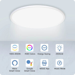 Lampa sufitowa Wi-Fi Moes WCL-TD25-RCW-Y-WHMS Tuya